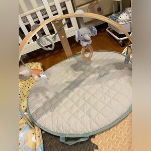ingenuity infant play mat